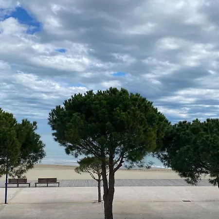 Apartment Leucate Apartment *